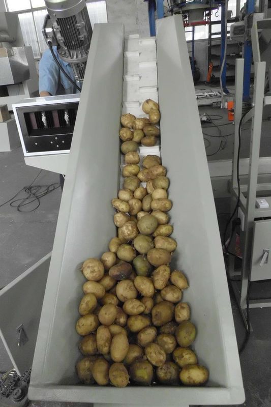 Προσαρμοσμένες πατατών συσκευασίας εγκαταστάσεις 2.5KW τοποθέτησης μέσα σε σάκκο μηχανών κινητές