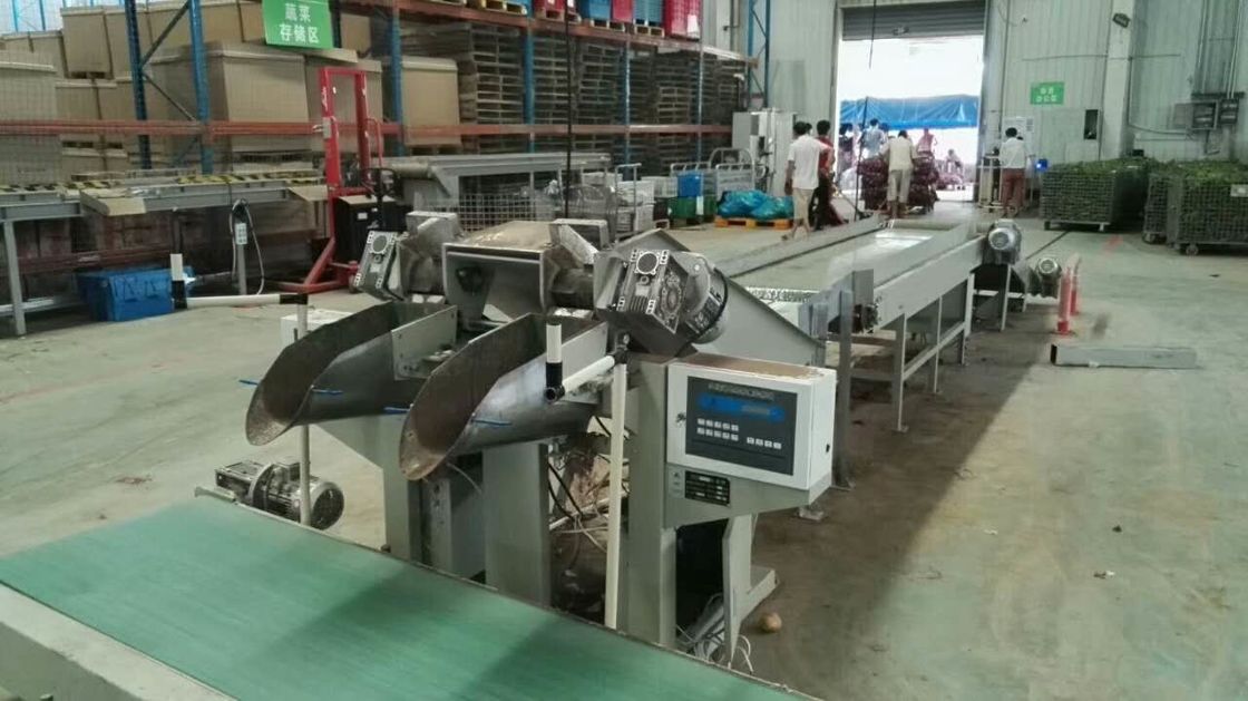 600-700bags μηχανή τοποθέτησης μέσα σε σάκκο πατατών   Χειρωνακτική πατάτα Bagger μηχανών Packaing τσαντών δικτύου πατατών